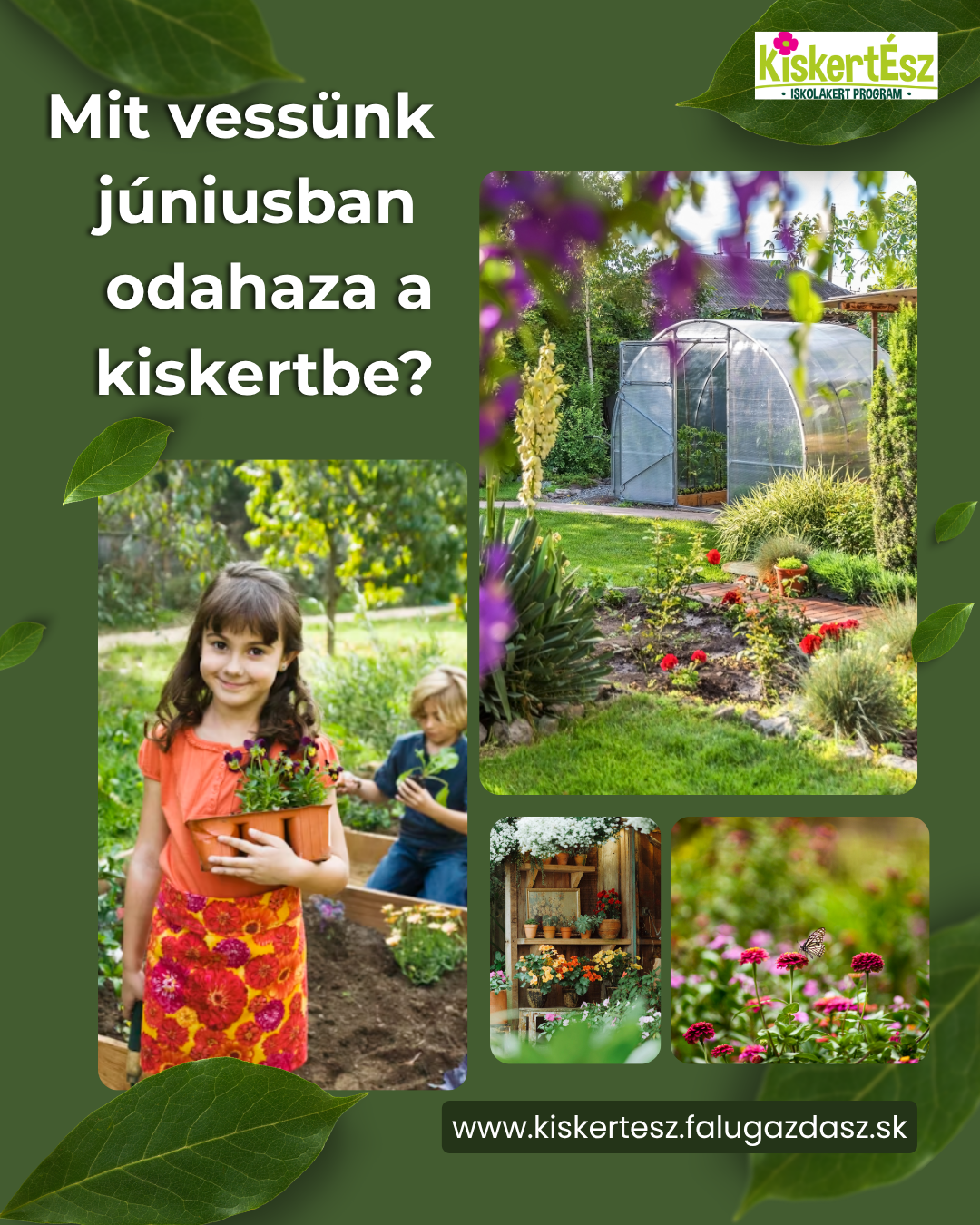 Mit vessünk júniusban odahaza a kiskertbe?