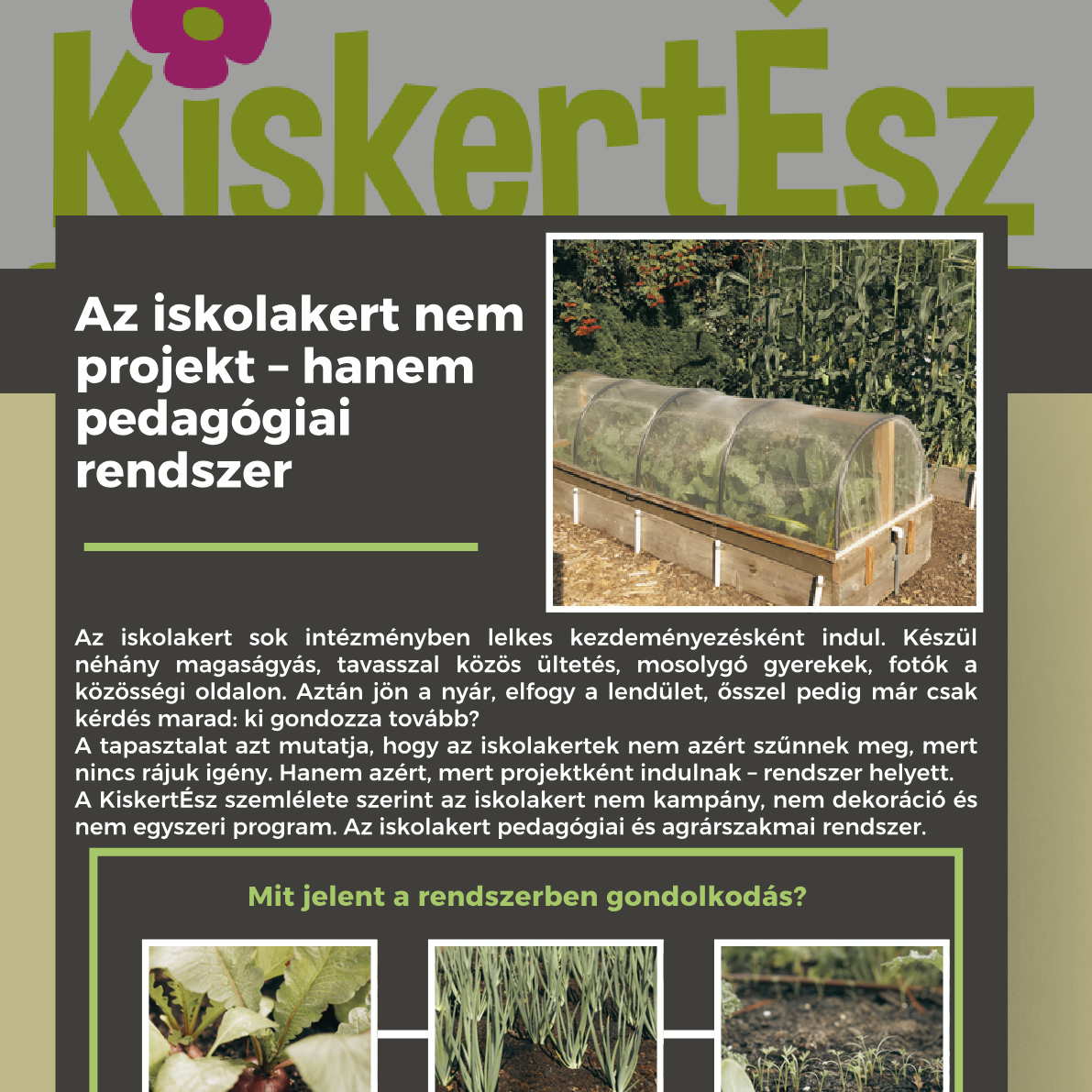 Az iskolakert nem projekt – hanem pedagógiai rendszer
