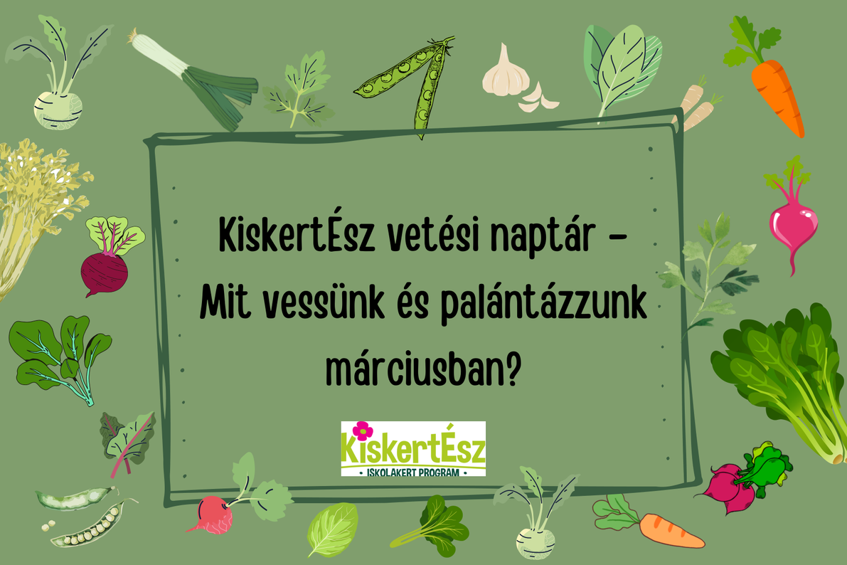 KiskertÉsz vetési naptár – március